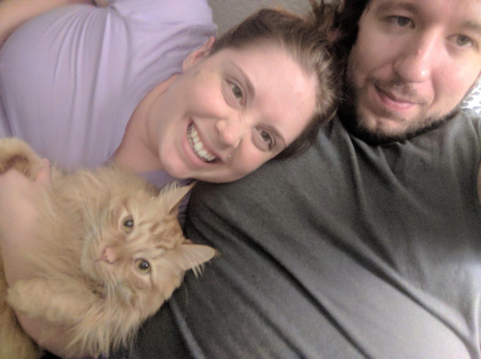 Cat with the couple